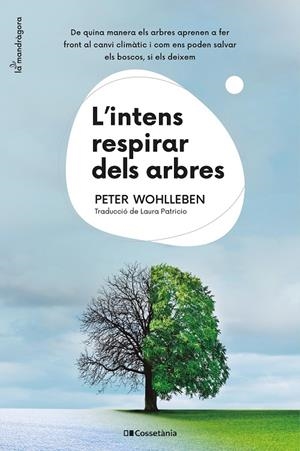 L'intens respirar dels arbres | 9788413561264 | Wohlleben, Peter | Llibres.cat | Llibreria online en català | La Impossible Llibreters Barcelona