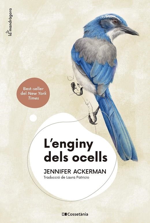 L'enginy dels ocells | 9788413561363 | Ackerman, Jennifer | Llibres.cat | Llibreria online en català | La Impossible Llibreters Barcelona