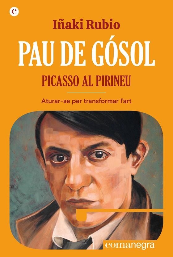 Pau de Gósol. Picasso al Pirineu | 9788419590411 | Rubio, Iñaki | Llibres.cat | Llibreria online en català | La Impossible Llibreters Barcelona