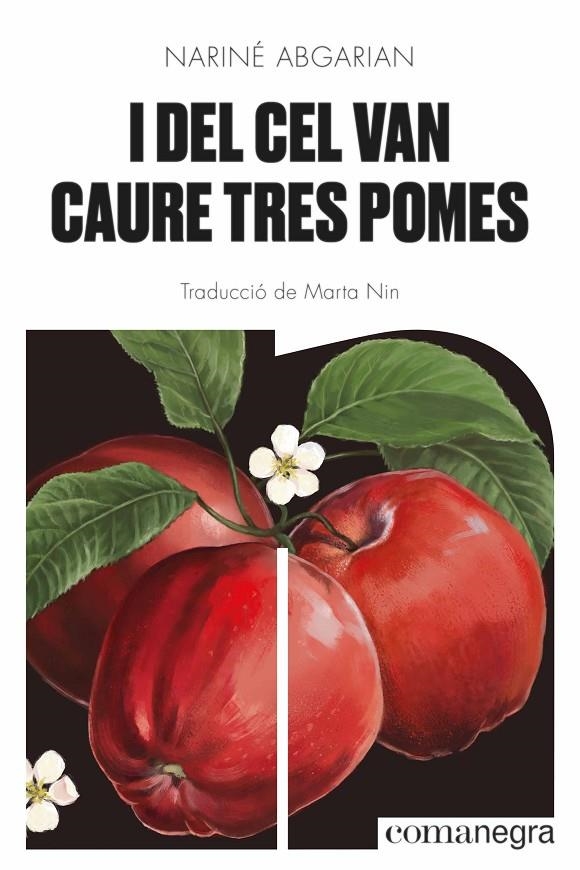 I del cel van caure tres pomes | 9788418857379 | Abgarian, Nariné | Llibres.cat | Llibreria online en català | La Impossible Llibreters Barcelona