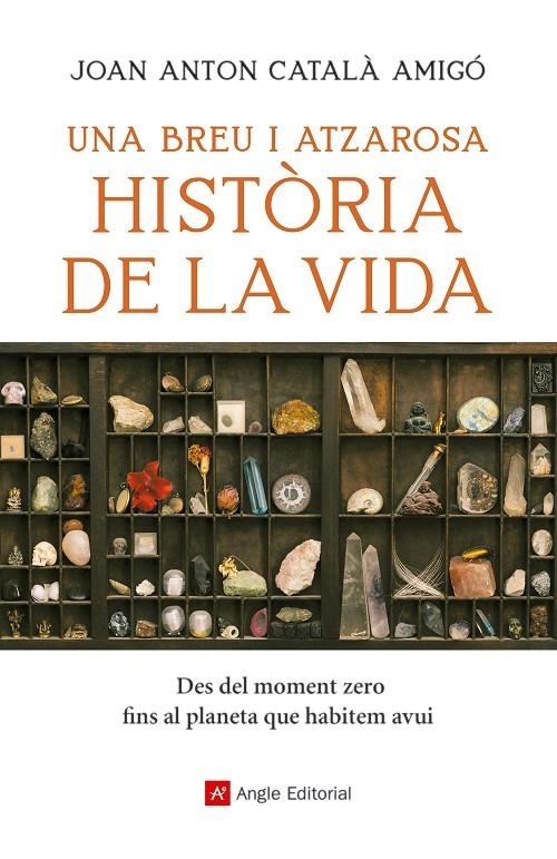 Una breu i atzarosa història de la vida | 9788419017055 | Català Amigó, Joan Anton | Llibres.cat | Llibreria online en català | La Impossible Llibreters Barcelona