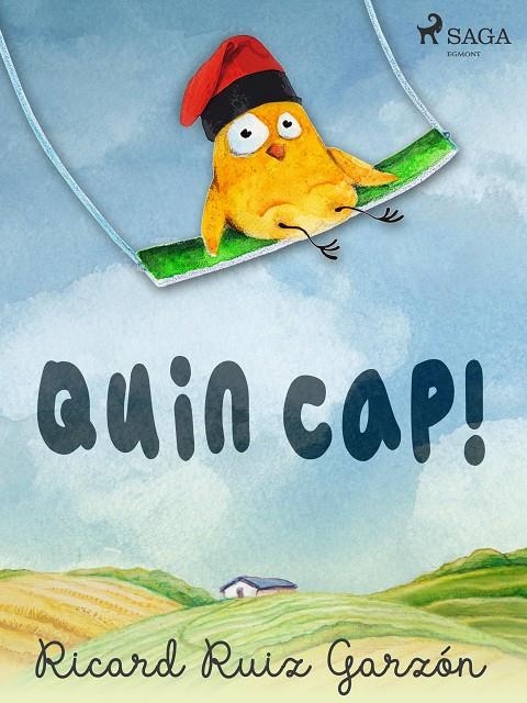 Quin cap! | 9788726531039 | Ruiz Garzón, Ricard | Llibres.cat | Llibreria online en català | La Impossible Llibreters Barcelona