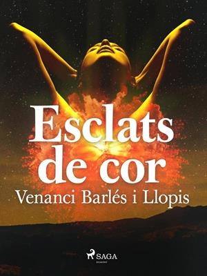 Esclats de cor | 9788726688399 | Barlés i Llopis, Venanci | Llibres.cat | Llibreria online en català | La Impossible Llibreters Barcelona