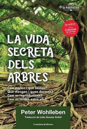 La vida secreta dels arbres | 9788490349991 | Wohlleben, Peter | Llibres.cat | Llibreria online en català | La Impossible Llibreters Barcelona