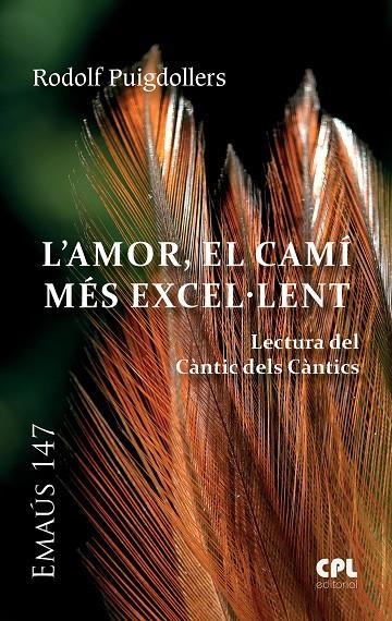 L'Amor, el camí més excel.lent | 9788491651109 | Puigdollers, Rodolf | Llibres.cat | Llibreria online en català | La Impossible Llibreters Barcelona
