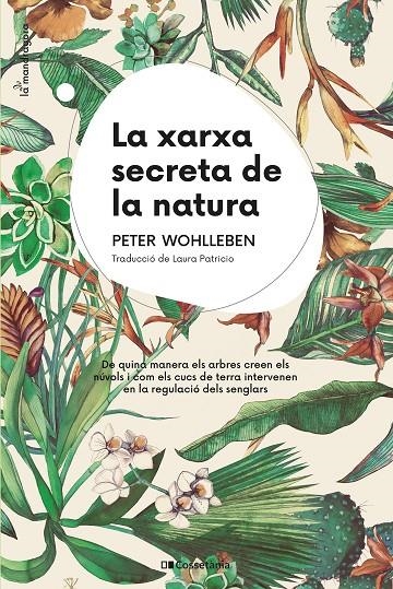 La xarxa secreta de la natura | 9788413561424 | Wohlleben, Peter | Llibres.cat | Llibreria online en català | La Impossible Llibreters Barcelona