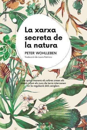 La xarxa secreta de la natura | 9788413561424 | Wohlleben, Peter | Llibres.cat | Llibreria online en català | La Impossible Llibreters Barcelona