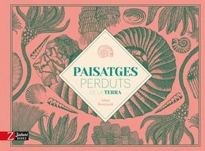 Paisatges perduts de la Terra | 9788418830051 | Bestard, Aina | Llibres.cat | Llibreria online en català | La Impossible Llibreters Barcelona