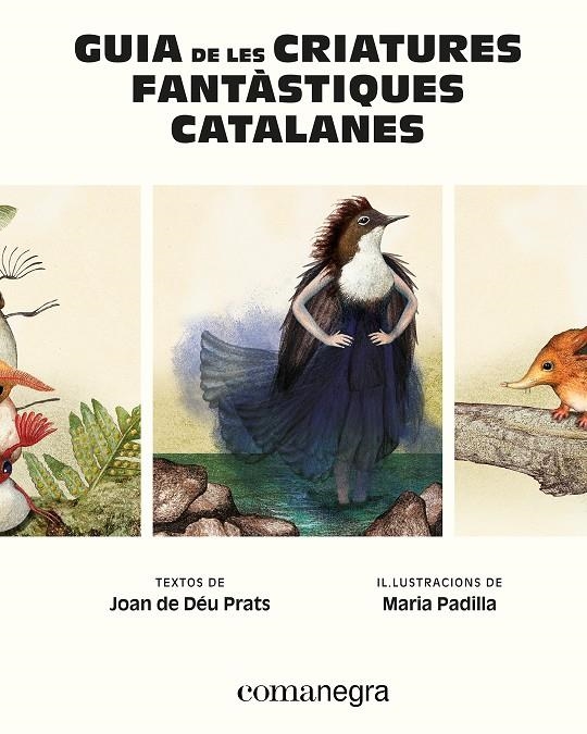 Guia de les criatures fantàstiques catalanes | 9788410161900 | Prats, Joan de Déu/Padilla, Maria | Llibres.cat | Llibreria online en català | La Impossible Llibreters Barcelona