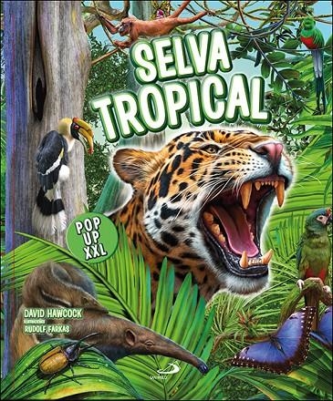 Selva tropical pop up XXL | 9788428573733 | Hawcock, David | Llibres.cat | Llibreria online en català | La Impossible Llibreters Barcelona