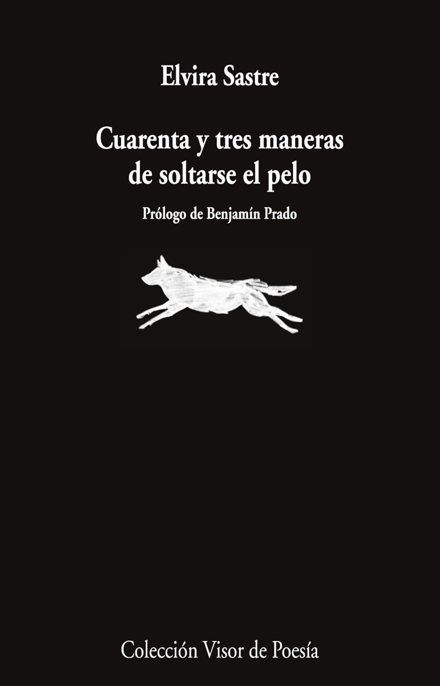 Cuarenta y tres maneras de soltarse el pelo | 9791387745868 | Sastre, Elvira | Llibres.cat | Llibreria online en català | La Impossible Llibreters Barcelona