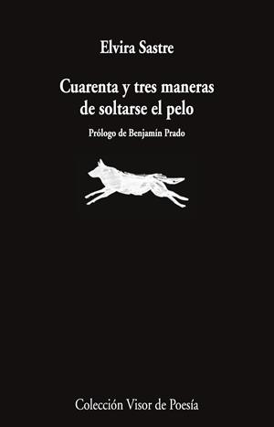 Cuarenta y tres maneras de soltarse el pelo | 9791387745868 | Sastre, Elvira | Llibres.cat | Llibreria online en català | La Impossible Llibreters Barcelona