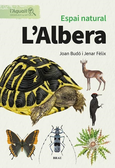 Espai natural. L'Albera | 9791387701048 | Fèlix Franquesa, Jenar/Budó Ricart, Joan | Llibres.cat | Llibreria online en català | La Impossible Llibreters Barcelona