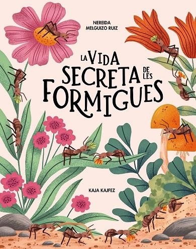 La vida secreta de les formigues | 9791399026573 | Melguizo Ruiz, Nereida | Llibres.cat | Llibreria online en català | La Impossible Llibreters Barcelona