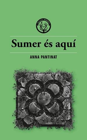 Sumer és aquí | 9791399014686 | Anna Pantinat | Llibres.cat | Llibreria online en català | La Impossible Llibreters Barcelona