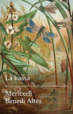 La bassa | 9788417353728 | Benedí, Meritxell | Llibres.cat | Llibreria online en català | La Impossible Llibreters Barcelona
