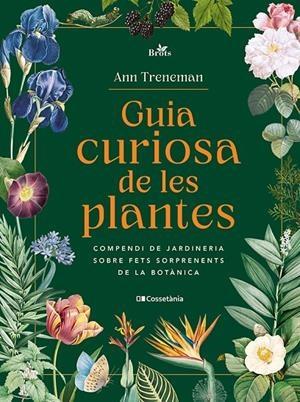 Guia curiosa de les plantes | 9788413565354 | Treneman, Ann | Llibres.cat | Llibreria online en català | La Impossible Llibreters Barcelona