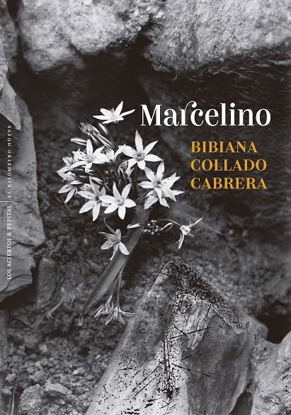 Marcelino | 9788410476431 | Collado Cabrera, Bibiana | Llibres.cat | Llibreria online en català | La Impossible Llibreters Barcelona