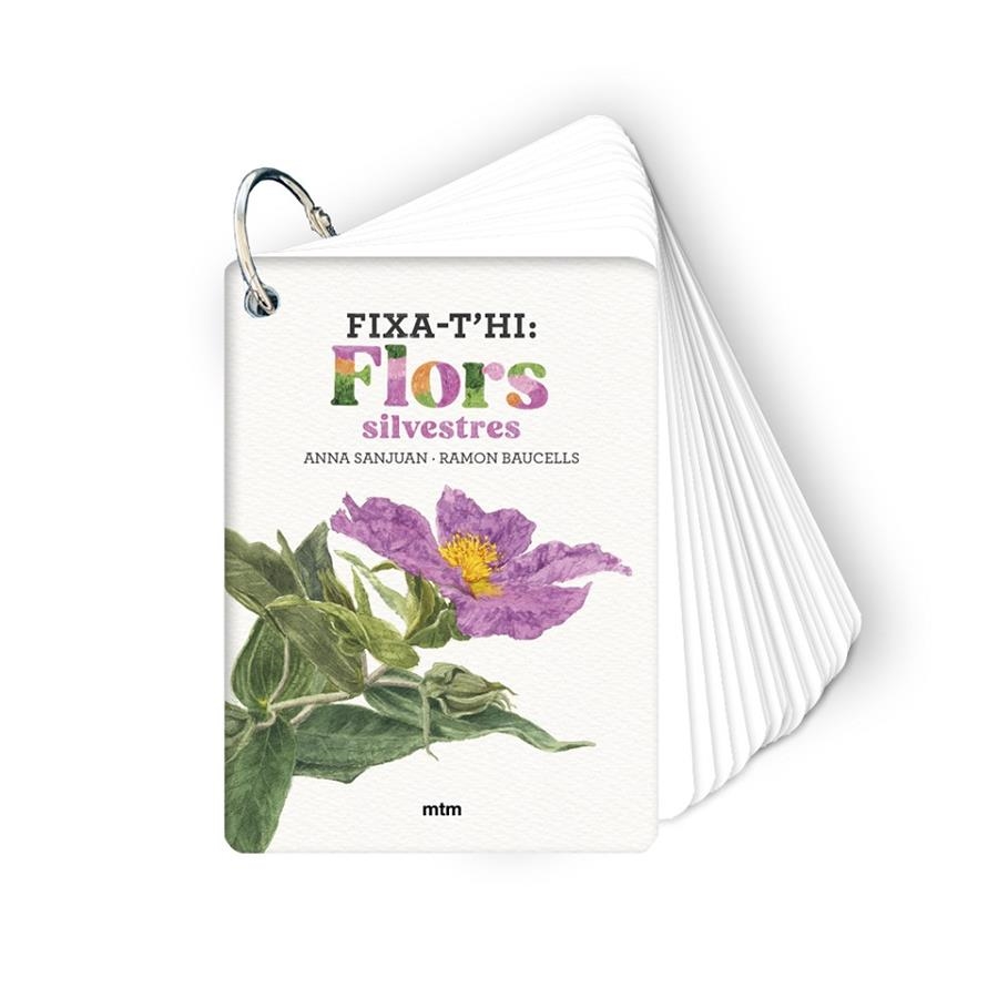 Fixa-t'hi: flors silvestres | 9788410407589 | Sanjuan Llorens, Anna/Baucells Colomer, Ramon | Llibres.cat | Llibreria online en català | La Impossible Llibreters Barcelona