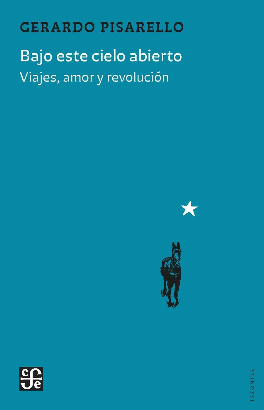 Bajo este cielo abierto | 9788437508573 | Pisarello Prados, Gerardo | Llibres.cat | Llibreria online en català | La Impossible Llibreters Barcelona