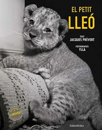 El petit lleó | 9788410387102 | Prévert, Jacques | Llibres.cat | Llibreria online en català | La Impossible Llibreters Barcelona