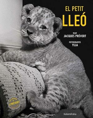 El petit lleó | 9788410387102 | Prévert, Jacques | Llibres.cat | Llibreria online en català | La Impossible Llibreters Barcelona