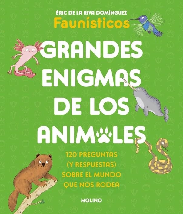 Grandes enigmas de los animales (Colección Grandes enigmas) | 9788427253698 | de la Riva Domínguez (Faunísticos), Éric | Llibres.cat | Llibreria online en català | La Impossible Llibreters Barcelona