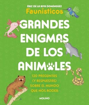 Grandes enigmas de los animales (Colección Grandes enigmas) | 9788427253698 | de la Riva Domínguez (Faunísticos), Éric | Llibres.cat | Llibreria online en català | La Impossible Llibreters Barcelona