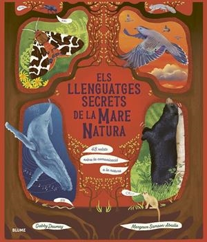 Els llenguatges secrets de la Mare Natura | 9788410469952 | Dawnay, Gabby/Samson Abadie, Margaux | Llibres.cat | Llibreria online en català | La Impossible Llibreters Barcelona