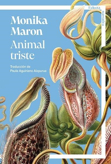 Animal triste | 9791387933081 | Maron, Monika | Llibres.cat | Llibreria online en català | La Impossible Llibreters Barcelona