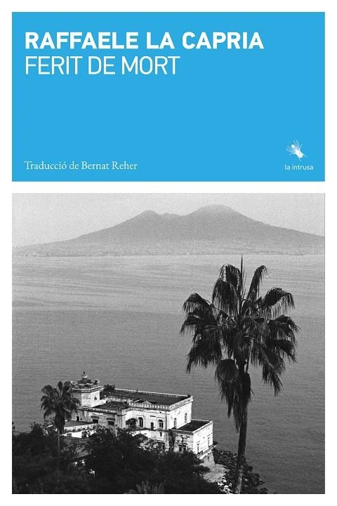 Ferit de mort | 9791399140989 | La Capria, Raffaele | Llibres.cat | Llibreria online en català | La Impossible Llibreters Barcelona