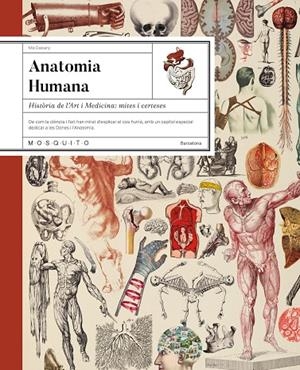 Anatomia humana | 9788410417724 | Cassany, Mia | Llibres.cat | Llibreria online en català | La Impossible Llibreters Barcelona