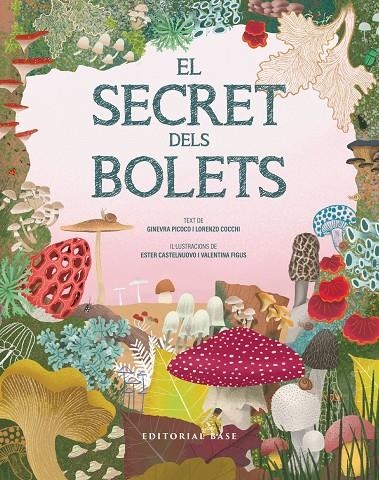 El secret dels bolets | 9791387728502 | Picoco, Ginevra/Cocchi, Lorenzo | Llibres.cat | Llibreria online en català | La Impossible Llibreters Barcelona