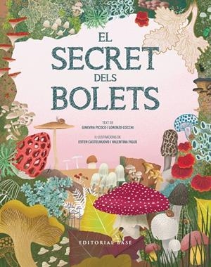El secret dels bolets | 9791387728502 | Picoco, Ginevra/Cocchi, Lorenzo | Llibres.cat | Llibreria online en català | La Impossible Llibreters Barcelona