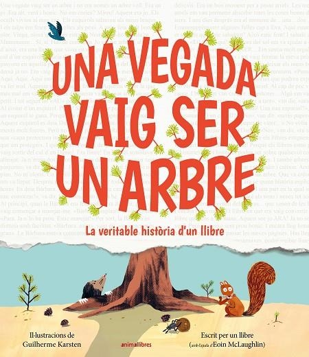 Una vegada vaig ser un arbre | 9791387847197 | Eoin McLaughlin | Llibres.cat | Llibreria online en català | La Impossible Llibreters Barcelona