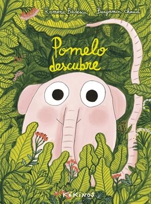 Pomelo descubre | 9788417074531 | Bâdescu, Ramona | Llibres.cat | Llibreria online en català | La Impossible Llibreters Barcelona