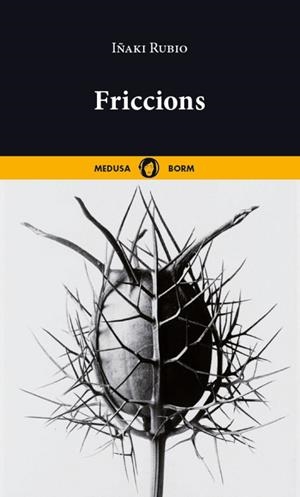 FRICCIONS (CAT) | 9788419202284 | Rubio, Ikaki | Llibres.cat | Llibreria online en català | La Impossible Llibreters Barcelona