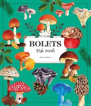 Bolets. Vida secreta | 9788410417687 | Ortega, Rena | Llibres.cat | Llibreria online en català | La Impossible Llibreters Barcelona