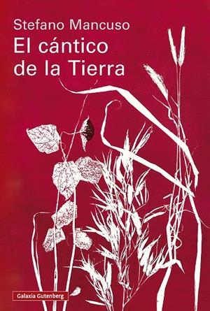 El cántico de la Tierra | 9791388019845 | Mancuso, Stefano | Llibres.cat | Llibreria online en català | La Impossible Llibreters Barcelona