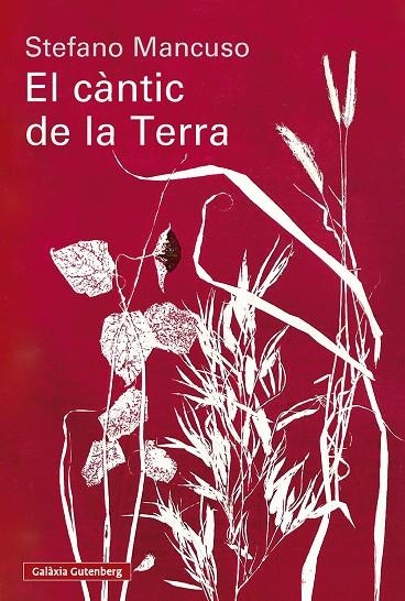El càntic de la Terra | 9791388019852 | Mancuso, Stefano | Llibres.cat | Llibreria online en català | La Impossible Llibreters Barcelona