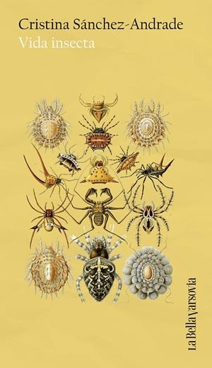 Vida insecta | 9788433949653 | Sánchez-Andrade, Cristina | Llibres.cat | Llibreria online en català | La Impossible Llibreters Barcelona