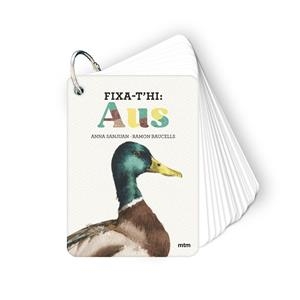 Fixa-t'hi: aus | 9788410407640 | Sanjuan Llorens, Anna/Baucells Colomer, Ramon | Llibres.cat | Llibreria online en català | La Impossible Llibreters Barcelona