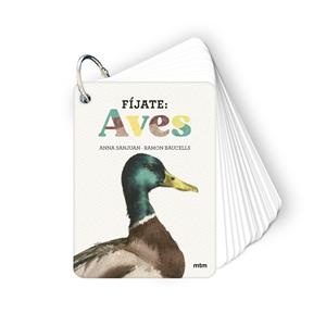 Fíjate: aves | 9788410407633 | Sanjuan Llorens, Anna/Baucells Colomer, Ramon | Llibres.cat | Llibreria online en català | La Impossible Llibreters Barcelona