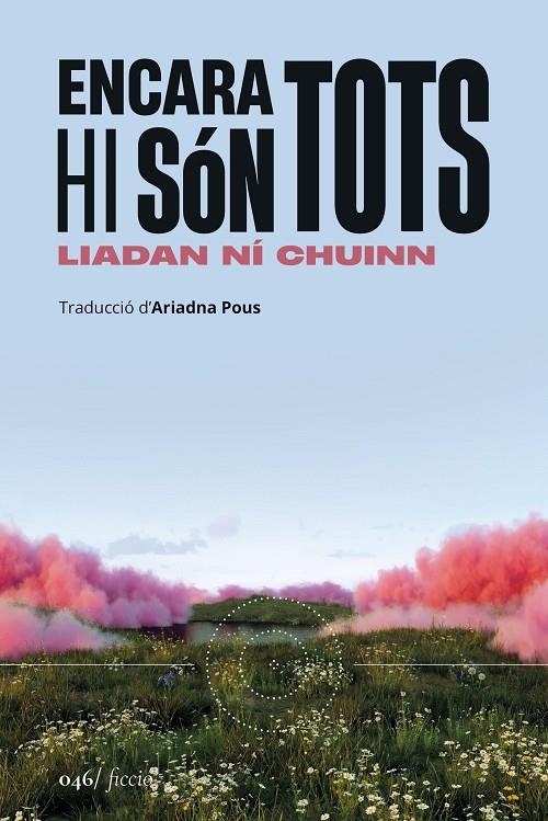Encara hi són tots | 9788419059604 | Ní Chuinn, Liadan | Llibres.cat | Llibreria online en català | La Impossible Llibreters Barcelona