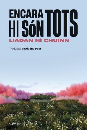 Encara hi són tots | 9788419059604 | Ní Chuinn, Liadan | Llibres.cat | Llibreria online en català | La Impossible Llibreters Barcelona