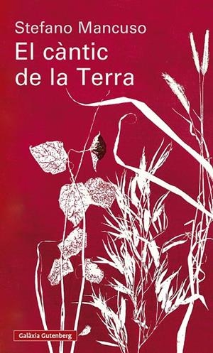 El càntic de la Terra | 9791388236242 | Mancuso, Stefano | Llibres.cat | Llibreria online en català | La Impossible Llibreters Barcelona