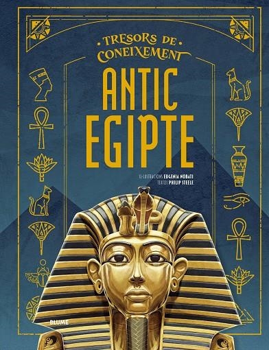 Tresors coneixements. Antic Egipte | 9791387881221 | Nobati, Eugenia/Steele, Philip | Llibres.cat | Llibreria online en català | La Impossible Llibreters Barcelona
