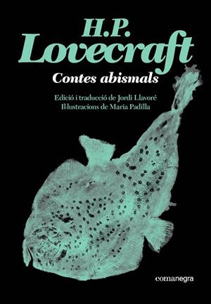 Contes abismals | 9791387969530 | Lovecraft, H. P. | Llibres.cat | Llibreria online en català | La Impossible Llibreters Barcelona
