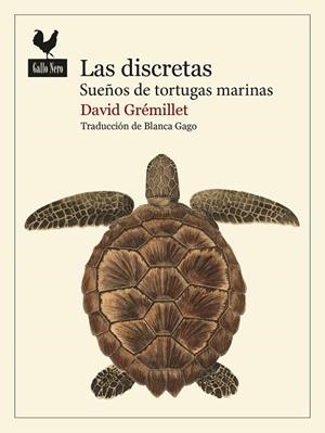 Las discretas | 9788419168986 | Grémillet, David | Llibres.cat | Llibreria online en català | La Impossible Llibreters Barcelona