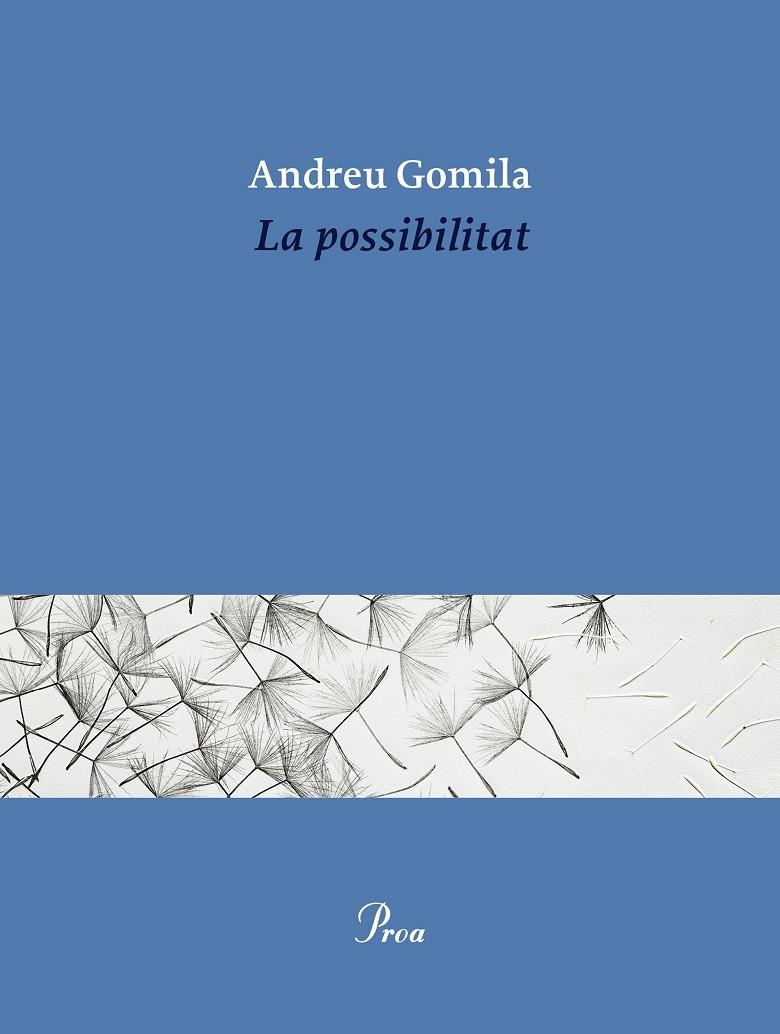 La possibilitat | 9791388369155 | Gomila Llobera, Andreu | Llibres.cat | Llibreria online en català | La Impossible Llibreters Barcelona